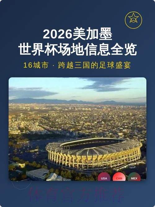 揭秘世界杯盘口入口的多元化选项_1
